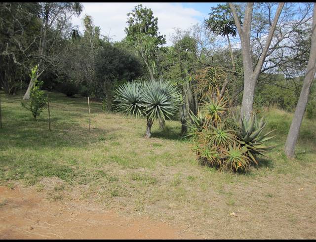 24.60HA FARM FOR SALE IN BERYL